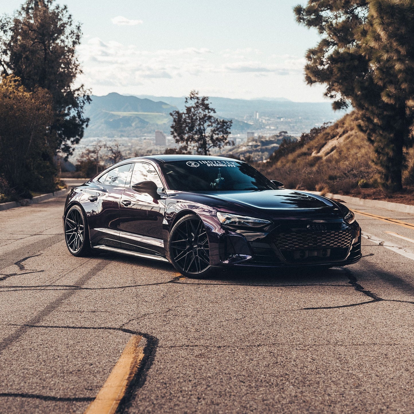 Dynamic PPF - Metallic Midnight Purple