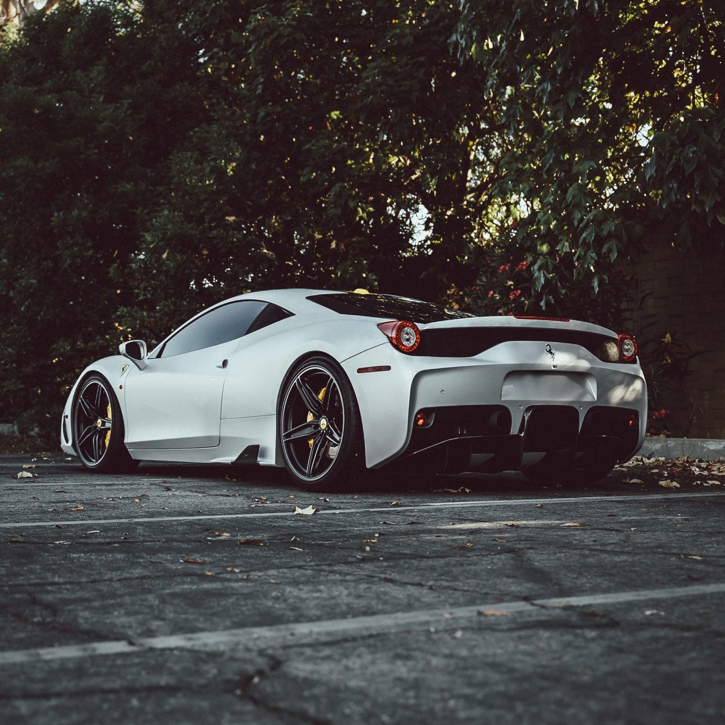 Dynamic PPF - Satin Pearl White