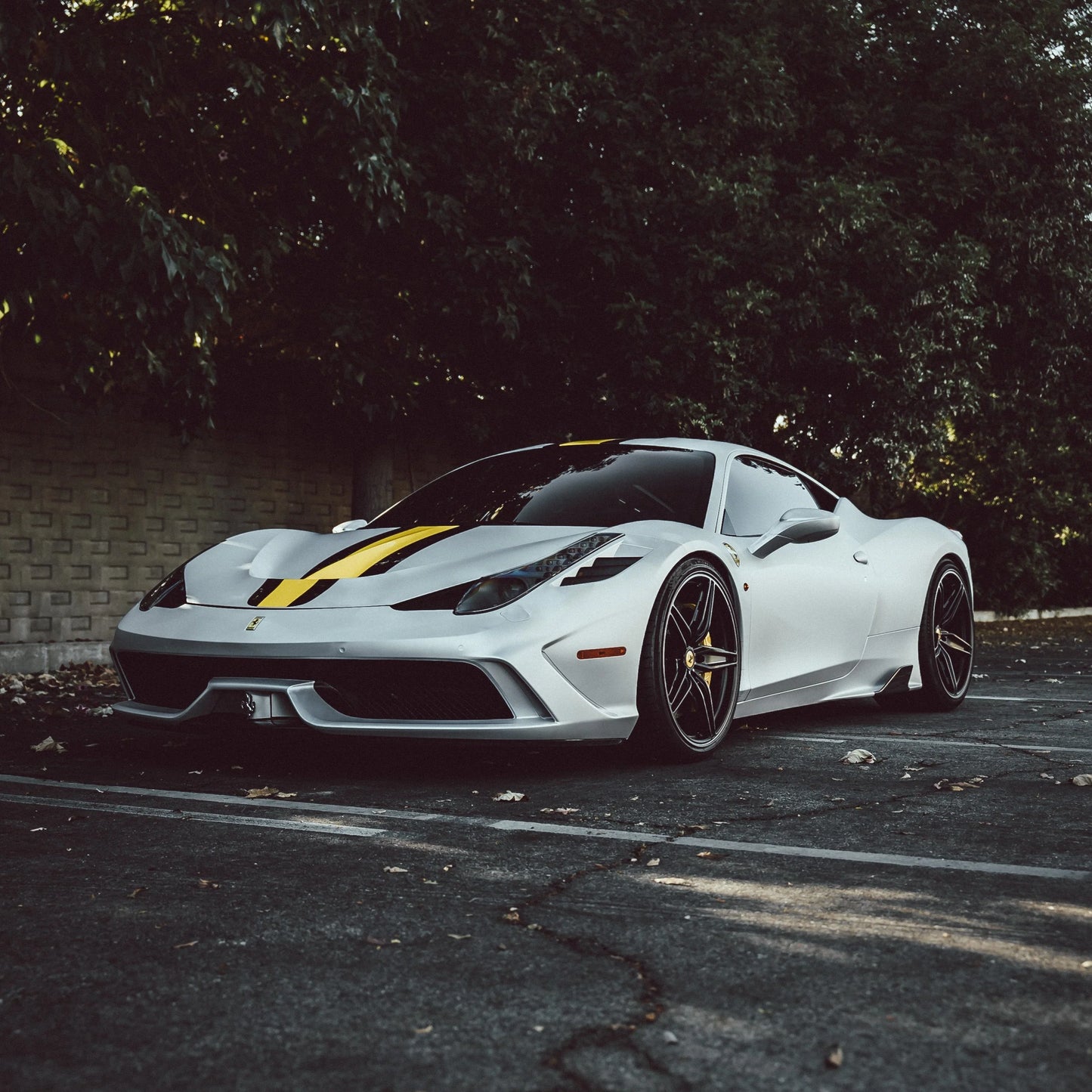 Dynamic PPF - Satin Pearl White