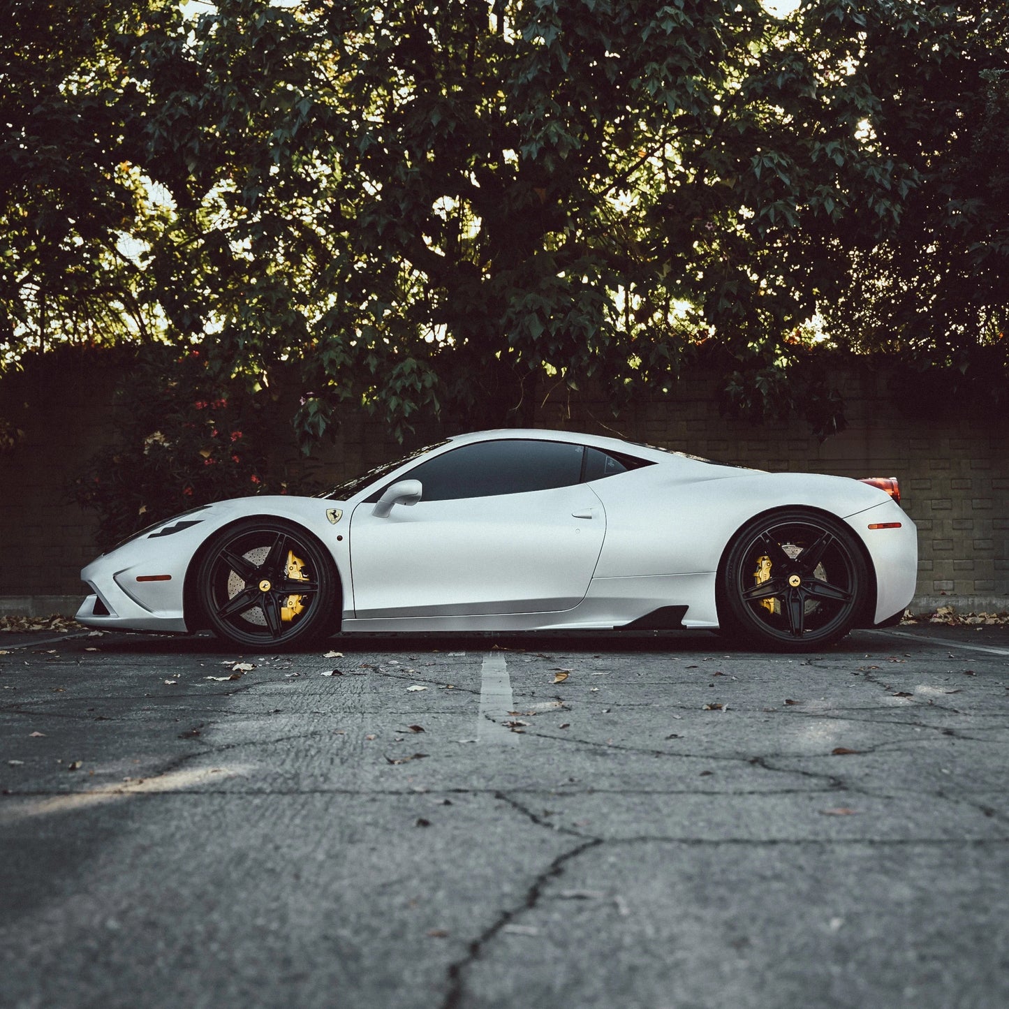 Dynamic PPF - Satin Pearl White