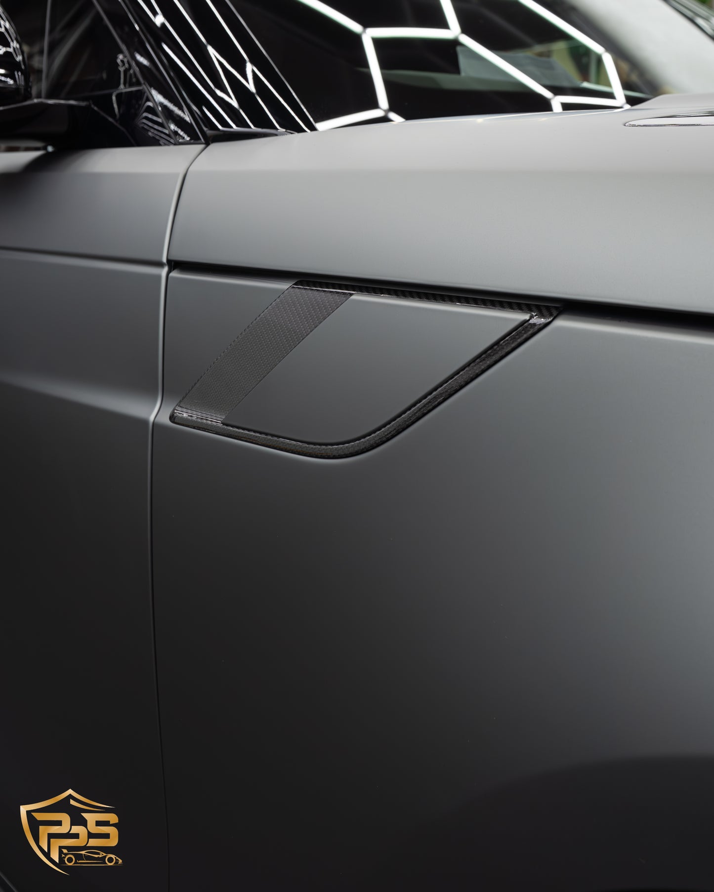 Dynamic PPF - Satin Midnight Moss