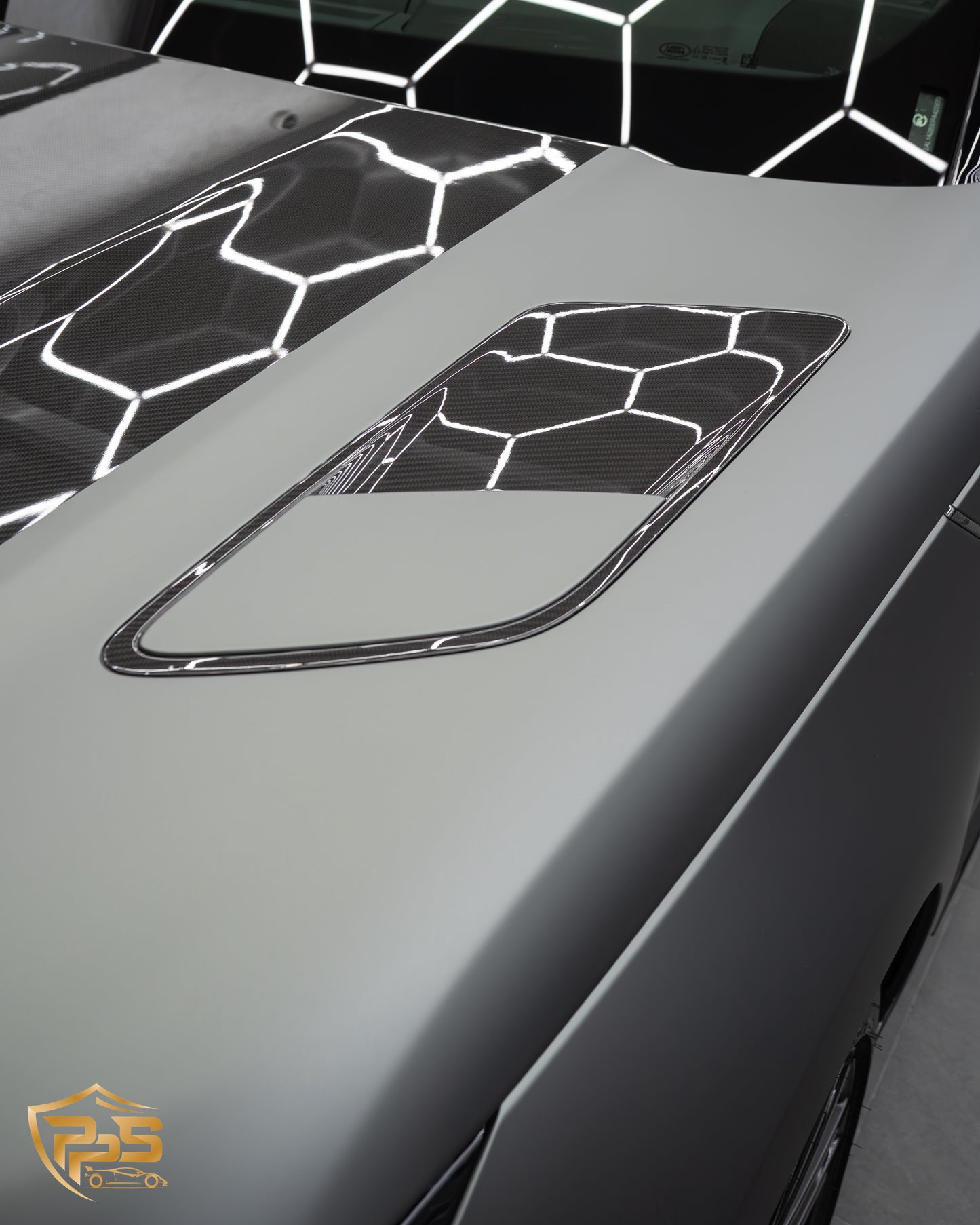 Dynamic PPF - Satin Midnight Moss