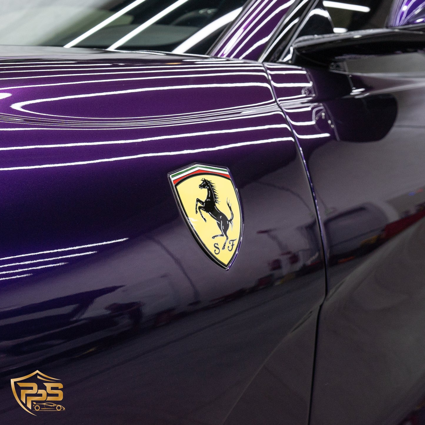 Dynamic PPF - Metallic Midnight Purple