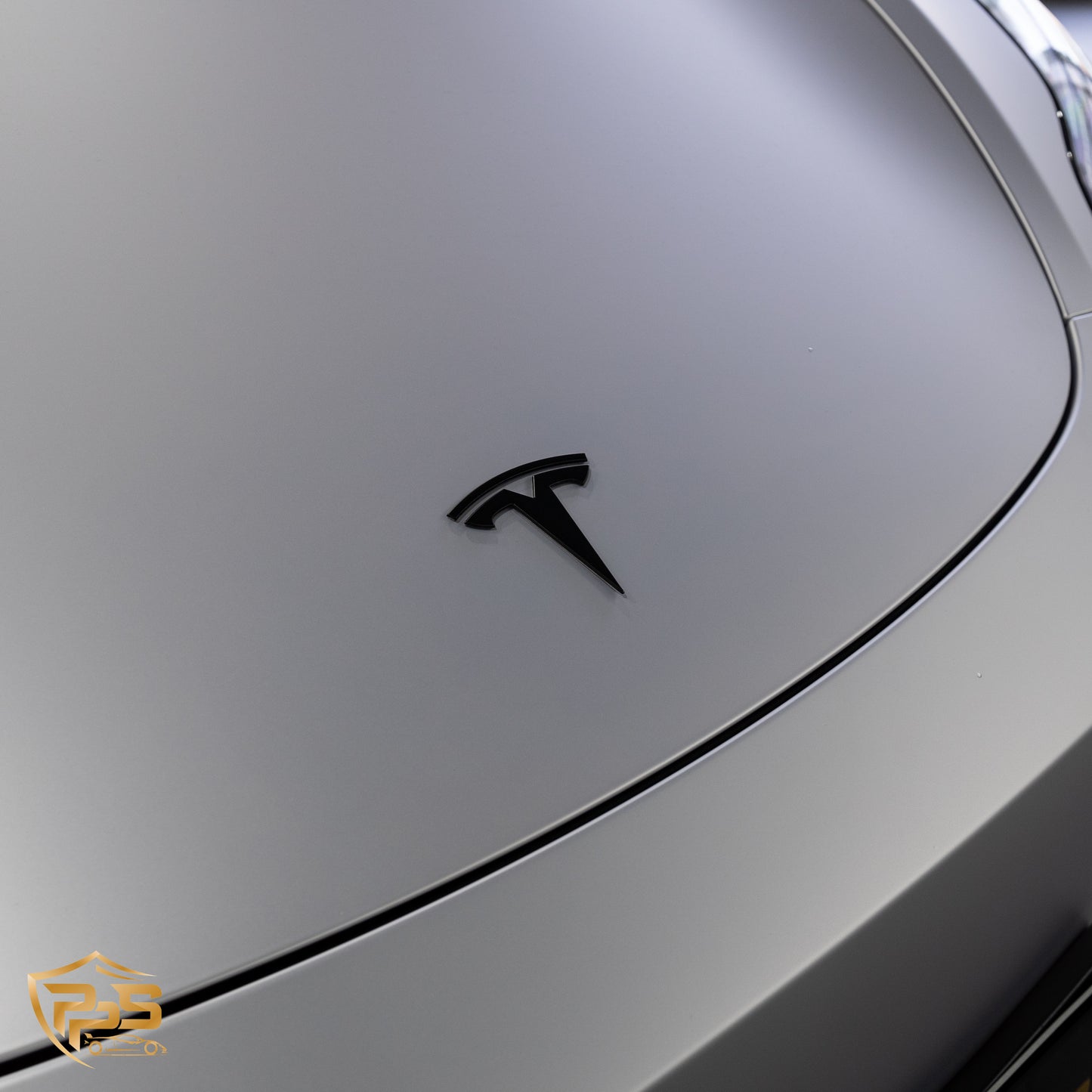 Dynamic PPF - Satin Silver Aluminum