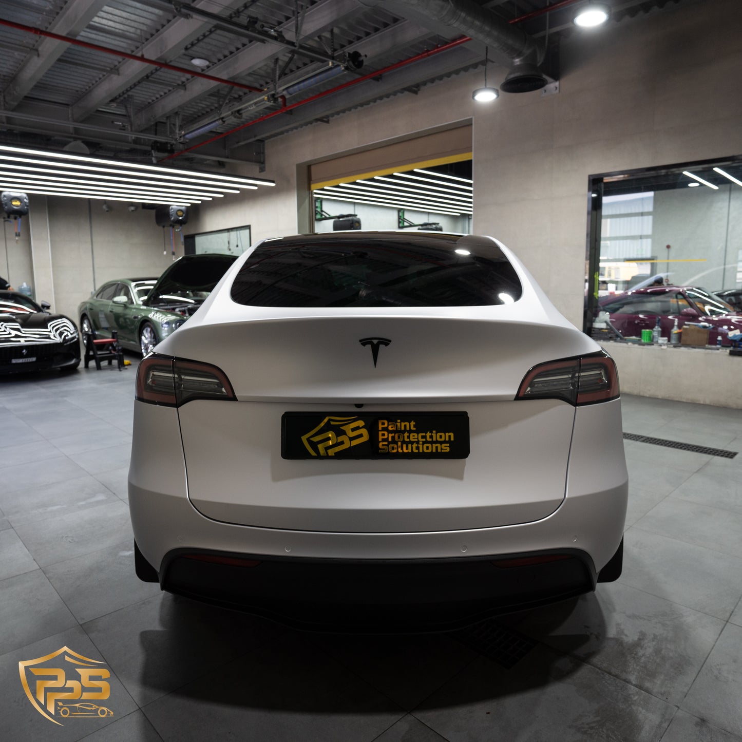 Dynamic PPF - Satin Silver Aluminum