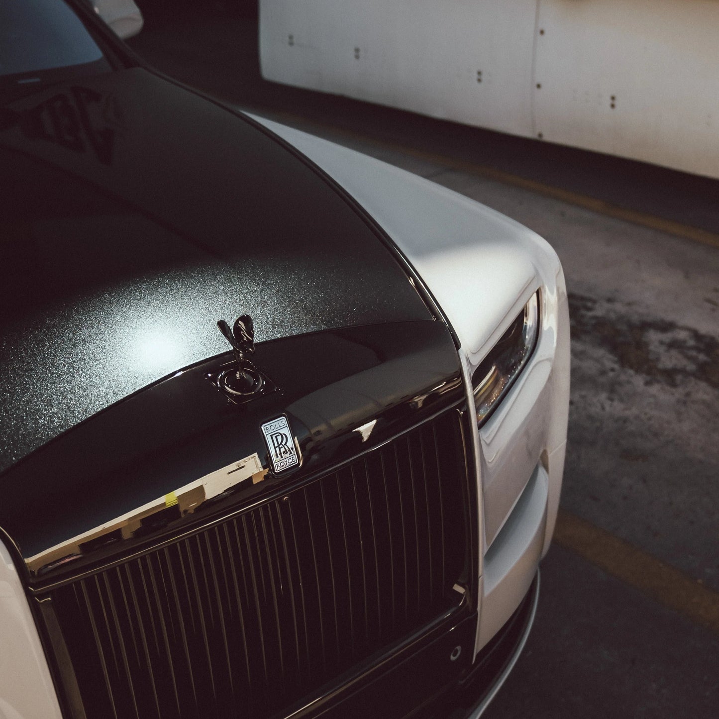 Dynamic PPF - Metallic Perfect Black