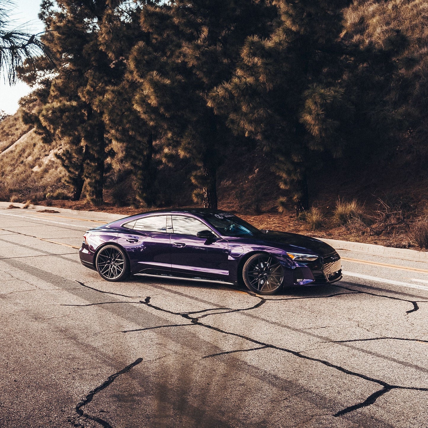 Dynamic PPF - Metallic Midnight Purple