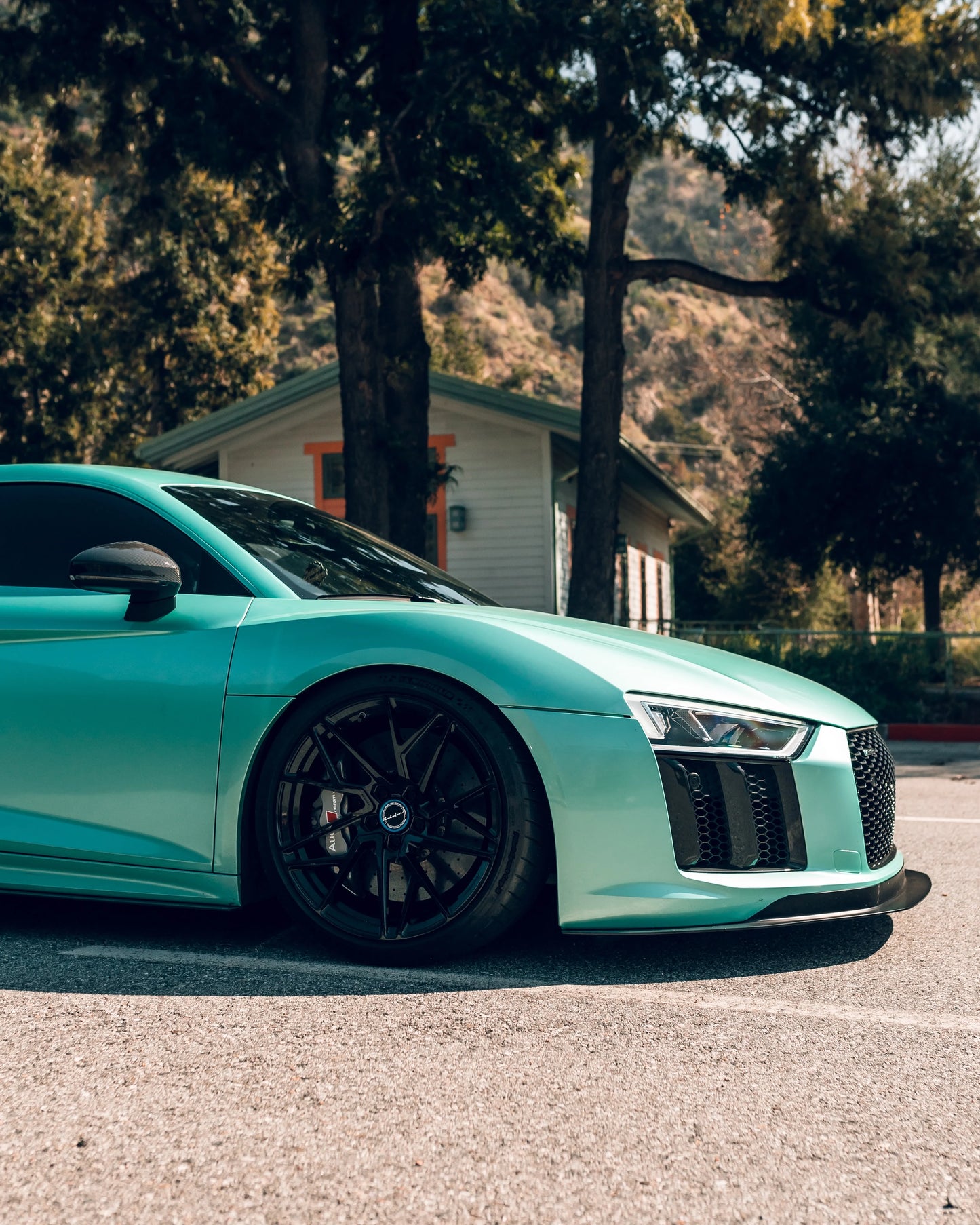 Gloss Pearlescent Pearl Neon Mint