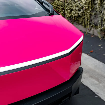 Dynamic PPF - Gloss Hot Pink (W)