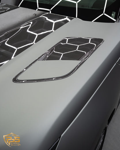 Dynamic PPF - Satin Midnight Moss