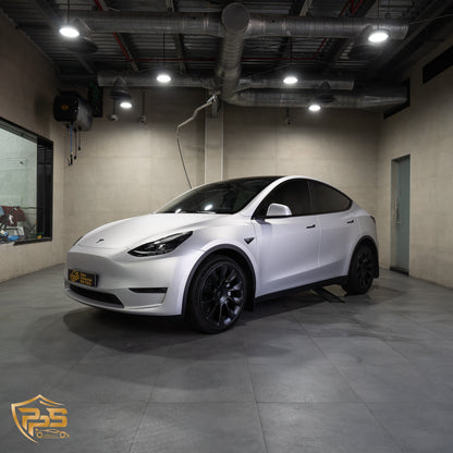 Dynamic PPF - Satin Silver Aluminum