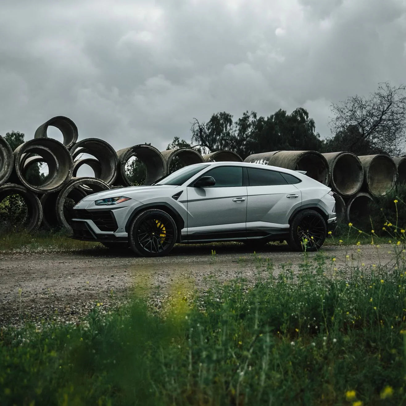 ديناميكي PPF - رمادي دولفين معدني 