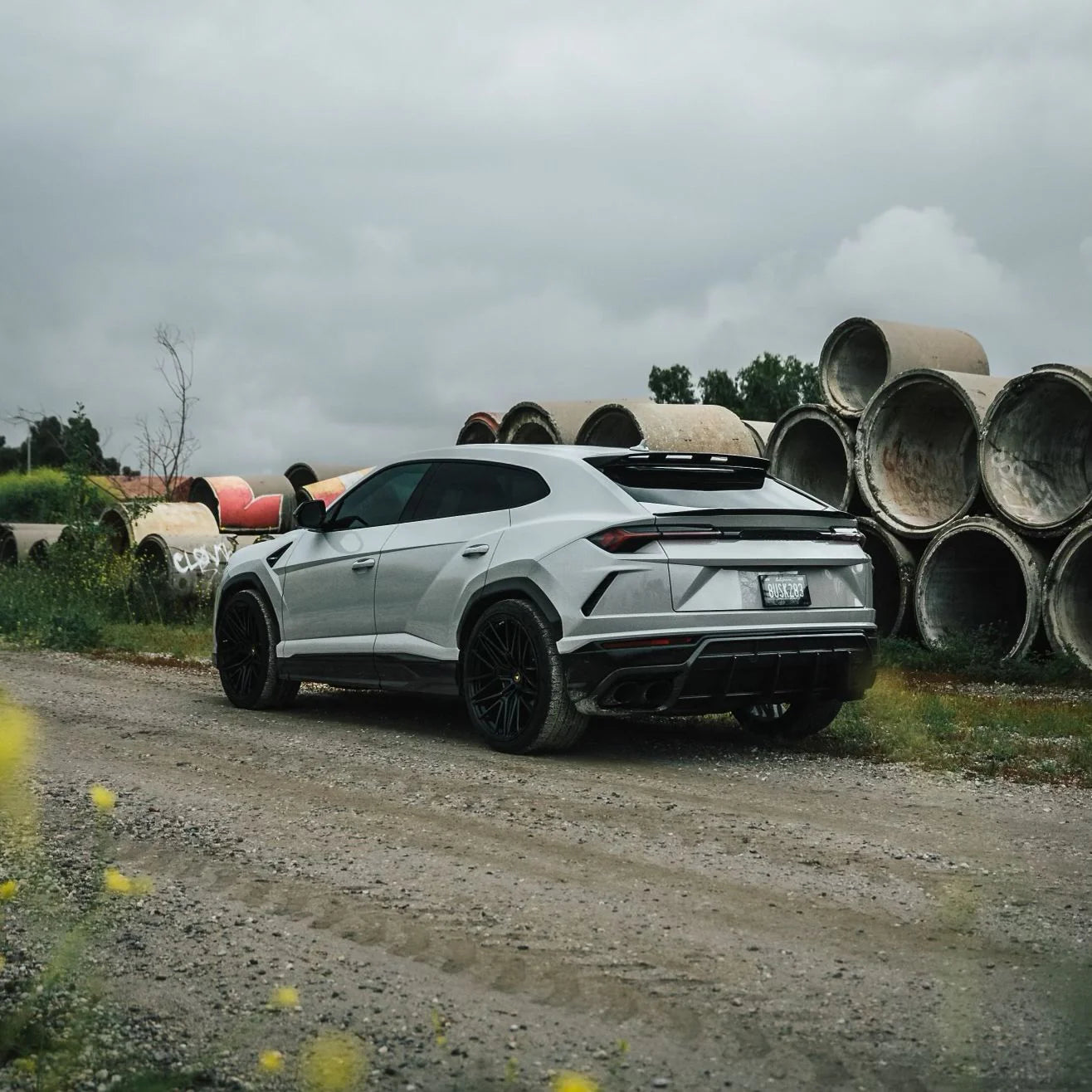 ديناميكي PPF - رمادي دولفين معدني 